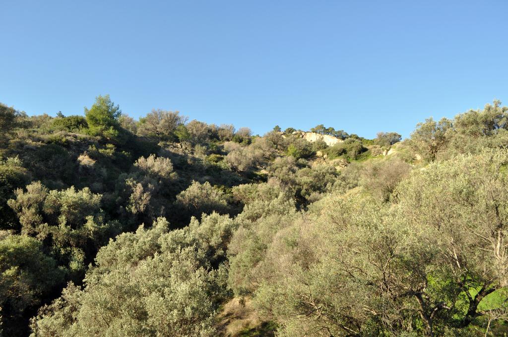 Villa Evoikon Ligia  Esterno foto